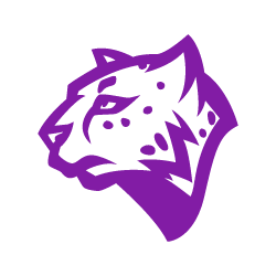 Mascot logo design